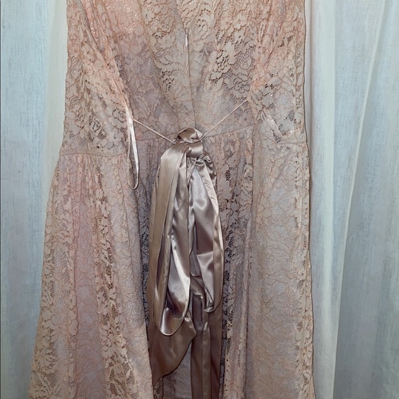 Blush Lace Dress - Picture 2 of 3